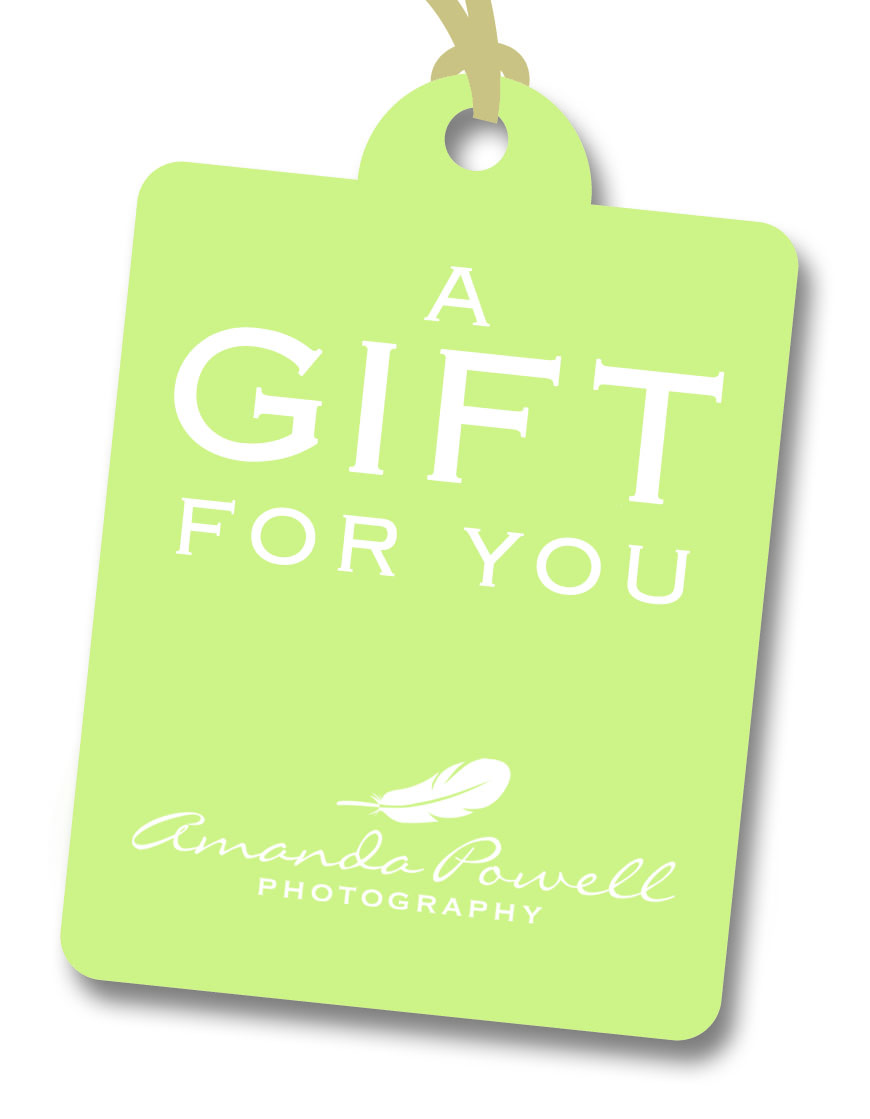 Photography Gift Vouchers - Amanda Powell Photography