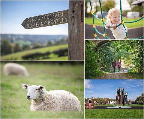 Amanda Powell Photography