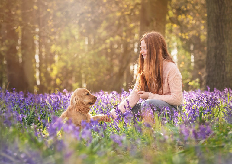 Dog photo shoot