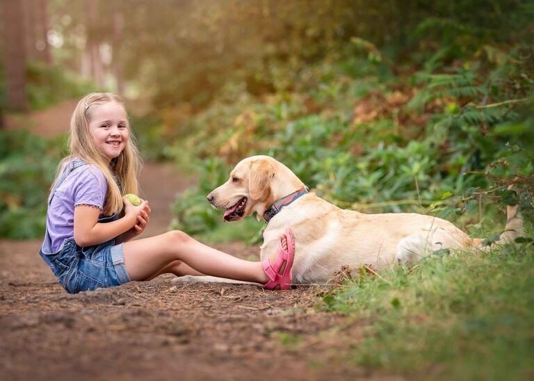 Pet photography